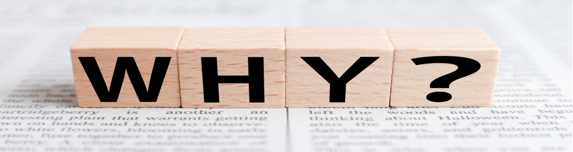 画像に alt 属性が指定されていません。ファイル名: WHY.png